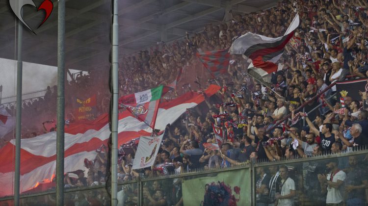 Palermo-Cremonese, ecco le vostre foto