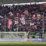 Curva Sud Cremo Livorno tifosi
