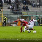 Emmers Cremo Livorno