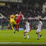 Castrovilli Cremo Livorno