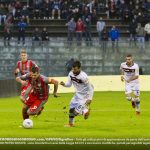 Brighenti Cremo Livorno