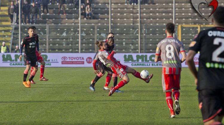 Cremonese-Carpi, i convocati di Rastelli