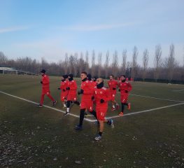 Cremonese-Palermo, i convocati di Rastelli