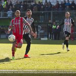 soddimo cremo ascoli