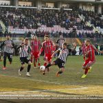 Cavion Carretta cremo ascoli