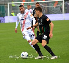Venezia-Cremonese, i precedenti