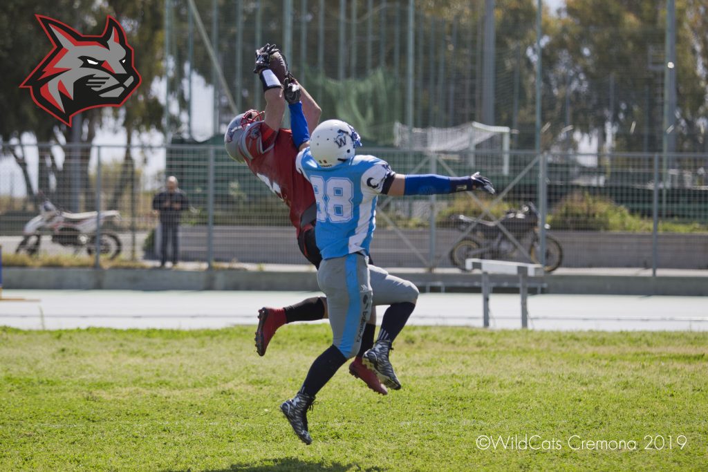 Wildcats, 7-League chiusa con un bellissimo successo