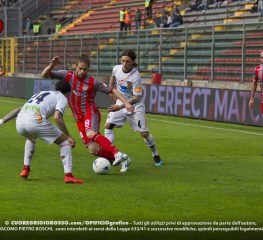 Castagnetti: è nato un re?