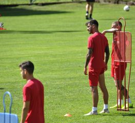 UFFICIALE: Montalto ceduto al Venezia