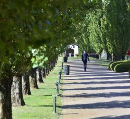 Cremo, sospesi i campionati Under 17, 16 e 15