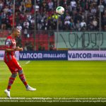 mogos cremo cittadella