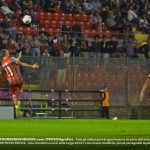 palombi cremo ascoli