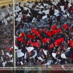 curva sud scenografia cremo cremonese juve stabia giovanni zini coreografia