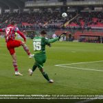 ciofani cremo livorno