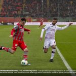 zortea cremo livorno