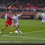 ciofani cremo livorno