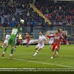 plizzari cremo livorno