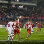 terranova cremo livorno