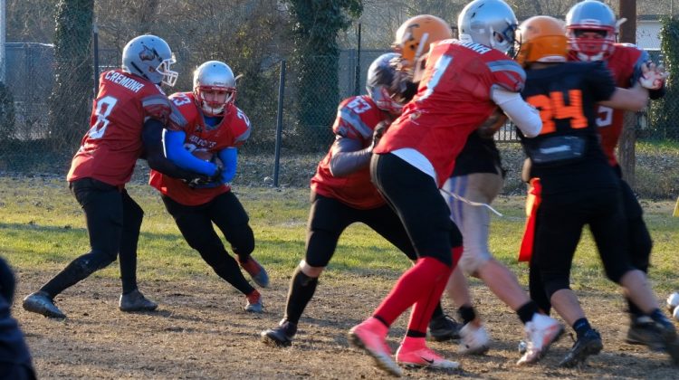 Wildcats da sogno con i Cocai: è finale playoff!