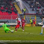 occasione pazzesca palombi cremo venezia