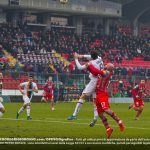 migliore cremo venezia