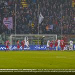 volpe cremo venezia parata uscita alta