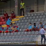 panchinari panchina cremo cosenza