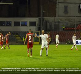 Pordenone, il “ramarro” mattone su mattone