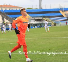 Cremonese-Volpe, addio possibile