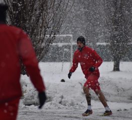 Dietrofront Gaetano: quale modulo con Pecchia?