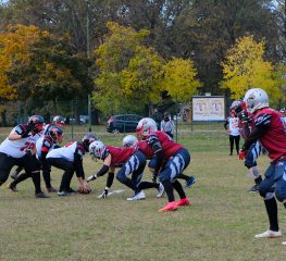 I Wildcats ricominciano a macinare yarde