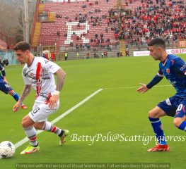 Cremonese-Reggina, i convocati di Pecchia