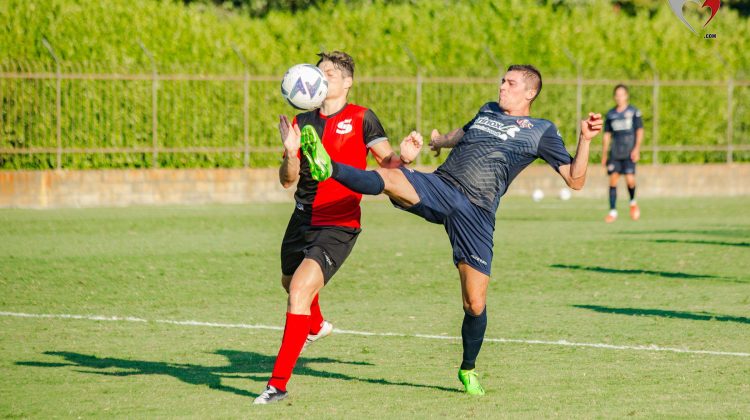 Cremonese, Vazquez e Zanimacchia ritrovano il Parma