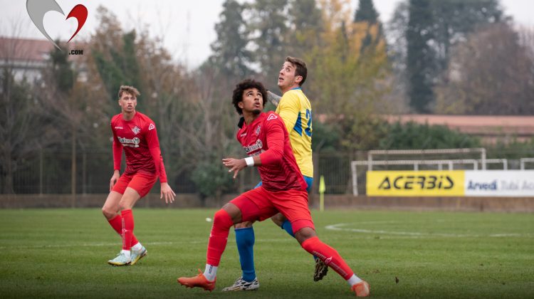 Cremonese, contro il Torino corsa a due per sostituire Vasquez