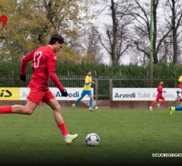 Hellas Verona-Cremonese, le probabili formazioni