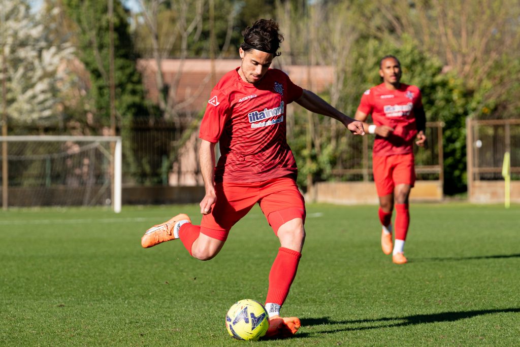 Sampdoria-Cremonese, le probabili formazioni