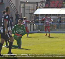 Cremonese, è il tuo giorno della marmotta
