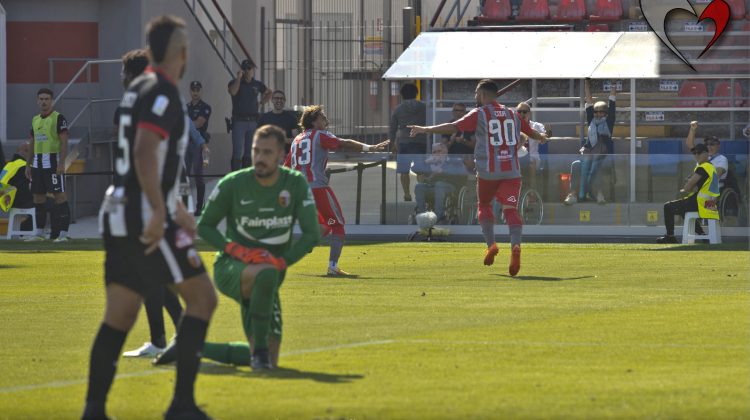 Cremonese, è il tuo giorno della marmotta