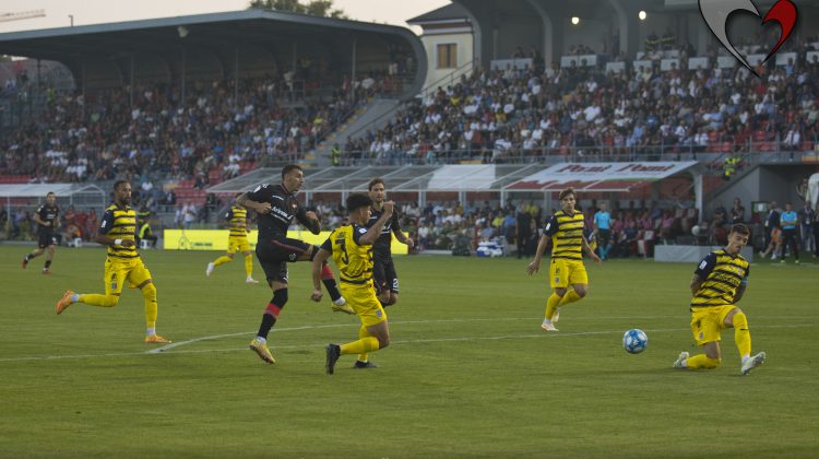 Cremonese, chi si rivede: Collocolo si gioca un posto da titolare