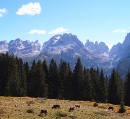 Cremonese, annunciate date e luogo del ritiro estivo