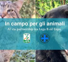 Serie B, al via una partnership con ENPA per la protezione degli animali