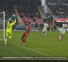 Cremonese, comincia una settimana molto importante