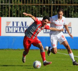 Primavera, le pagelle – Gabbiani predestinato, Lottici onnipresente