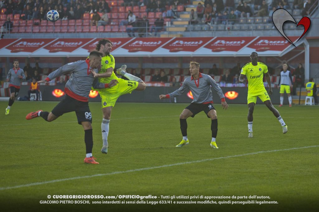 Sampdoria-Cremonese, i convocati di mister Stroppa