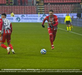 Palermo-Cremonese, le probabili formazioni