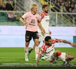 Cremonese, chi tra Juve Stabia e Palermo?