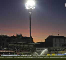 Cremonese, in agosto l’asta definitiva per lo Zini