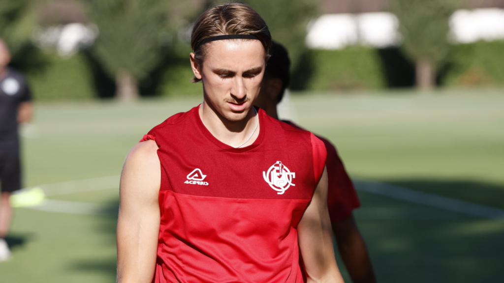 Cremonese, primo allenamento per Zerbin e Baschirotto