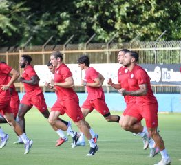 Cremonese, lavoro sulla forza