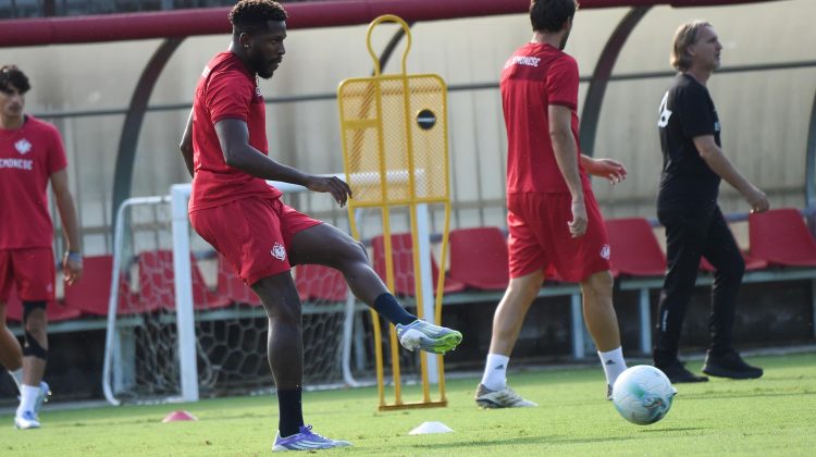 Cremonese, sosta utile per inserire i nuovi